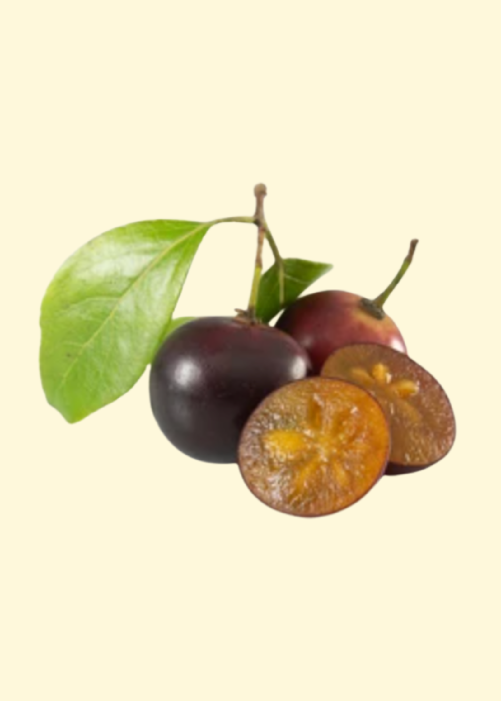 Governor’s Plum (Flacourtia rukam)
