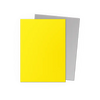 Dragon Shield: Yellow & Silver - Matte Dual Sleeves