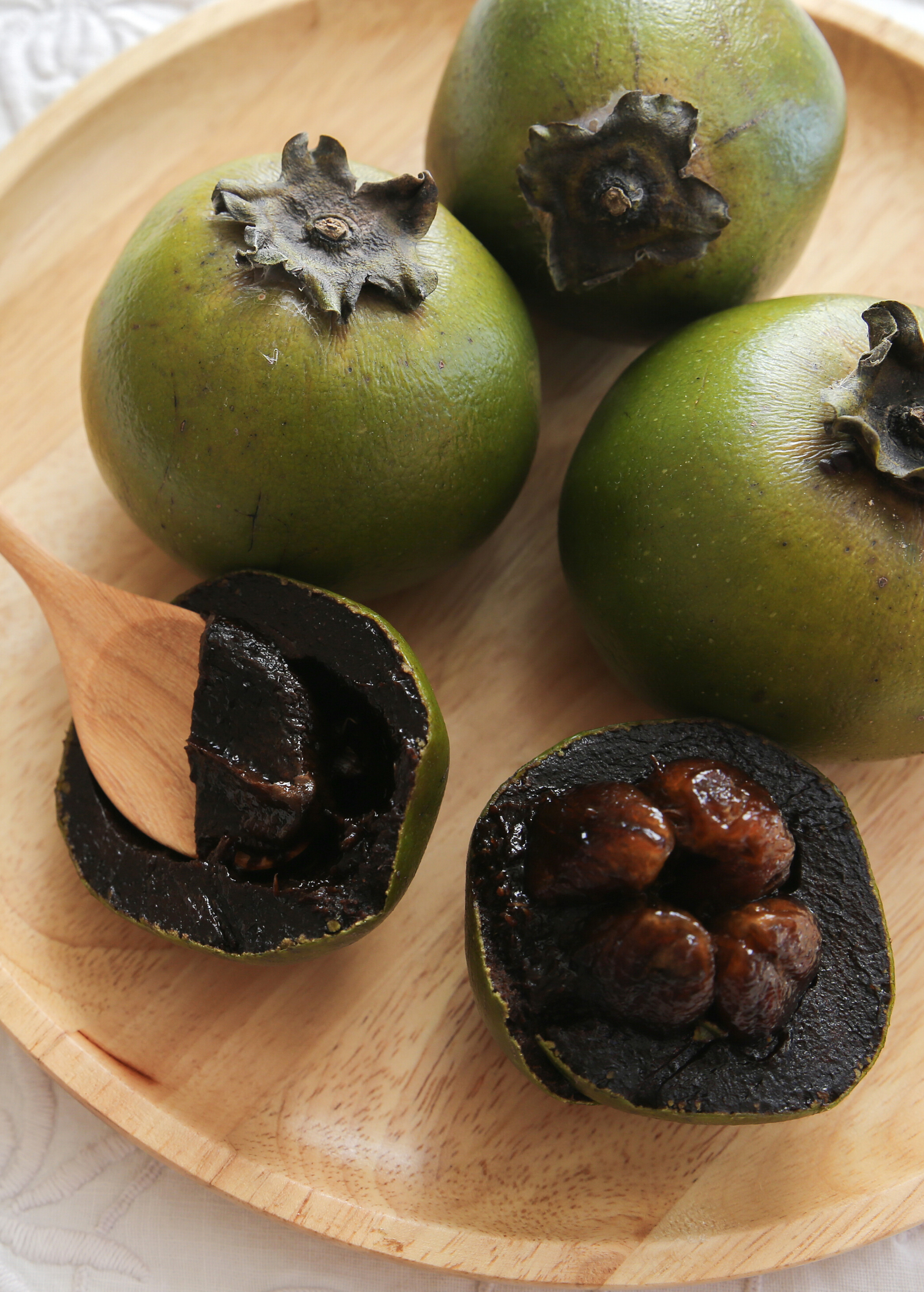 Black Sapote, Seedling (Diospyros nigra)