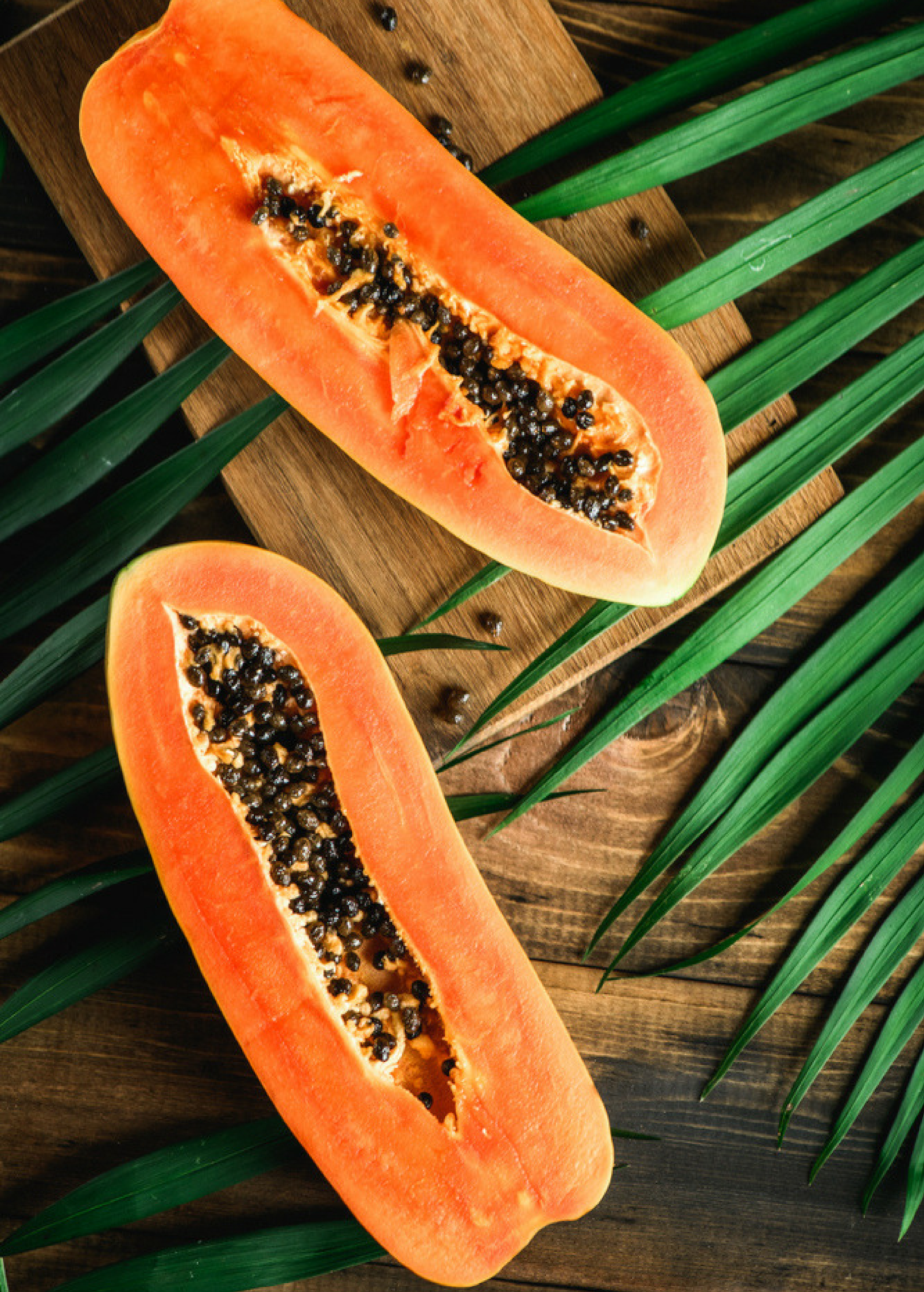 Papaya 'Dwarf Red Lady' (Carica papaya)
