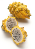 Dragon Fruit, Yellow (Selenicereus megalanthus)