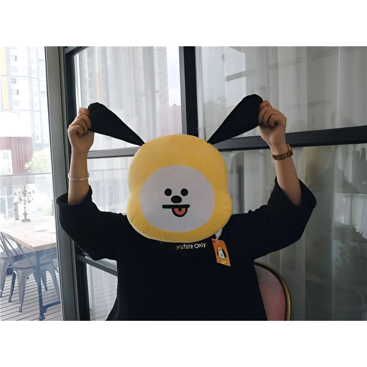 Kawaii Animal Plushies