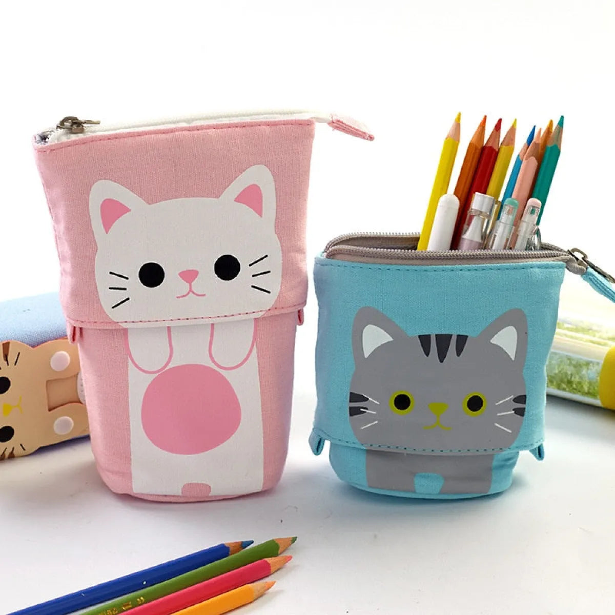 Kawaii Pencil Bags