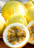 Passion Fruit 'Yellow’ (Passiflora edulis flavicarpa)